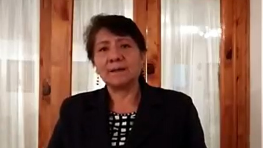 Silvia Avelina Nava Nava: Elecciones 2018