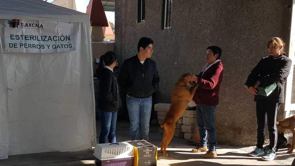 Programa de Esterilización 2017