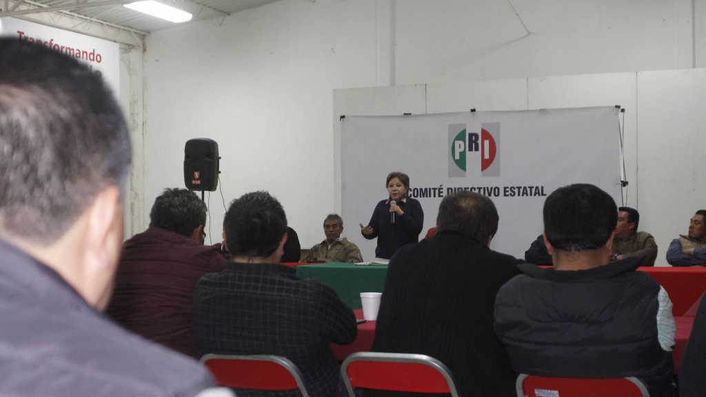 Dialoga CDE del PRI con presidentes de comités y delegados