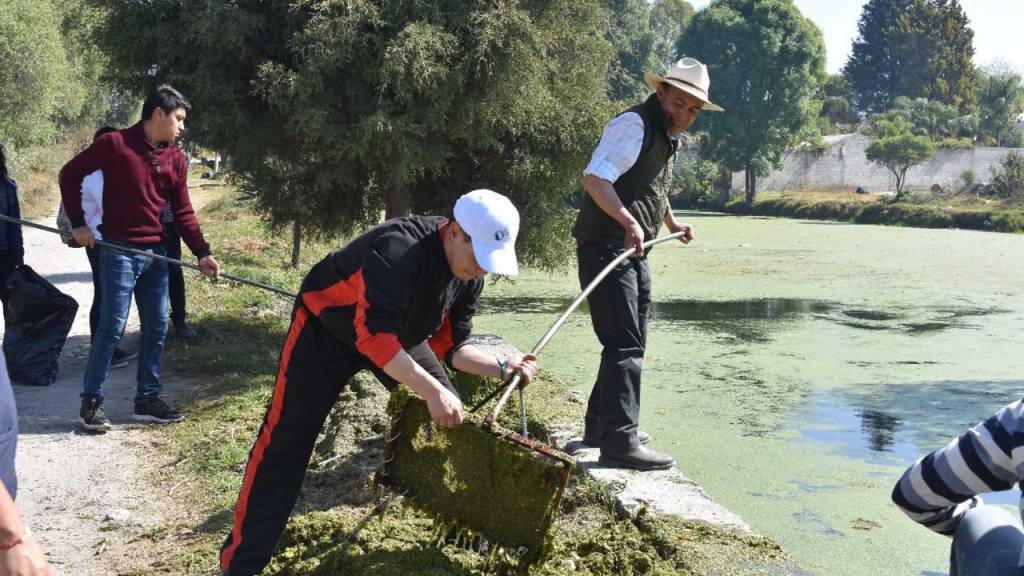 Jornadas de trabajo para preservar espacios ecológicos