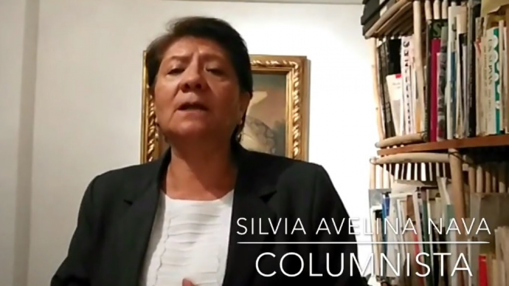 Silvia Avelina Nava: Derecho al Voto Femenino