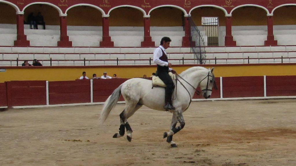 Realizan espectáculo de caballos de alta escuela en la plaza