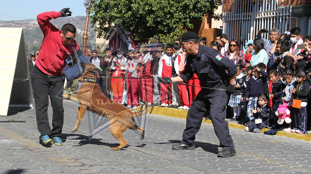 3ra semana de prevención del delito