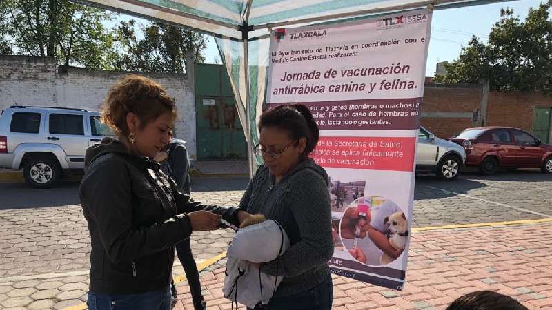 Rebasa comuna de Tlaxcala las cuatro mil dosis antirrábicas
