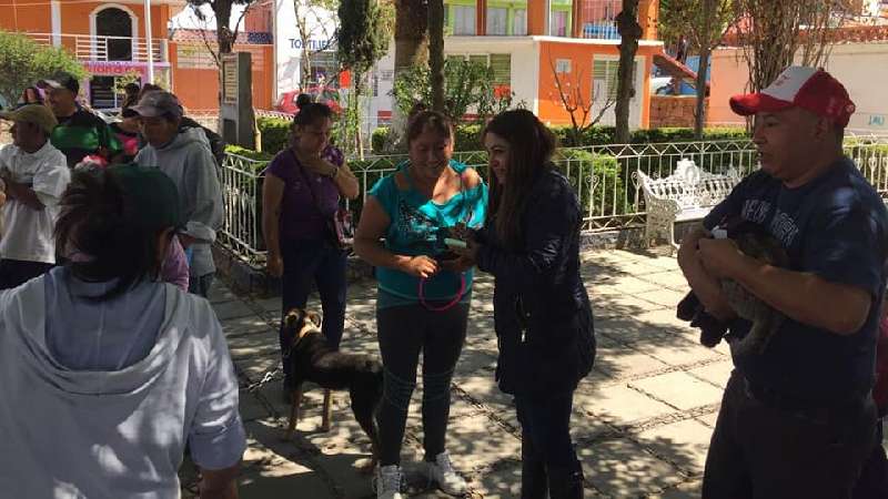 Toman medidas contra sobrepoblación de mascotas en Tocatlán