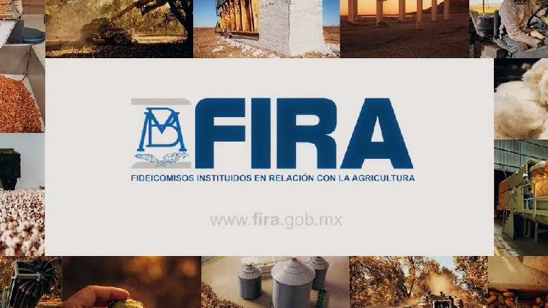 Apoyo a campesinos con cartera vencida ante Fira, pide Minerva