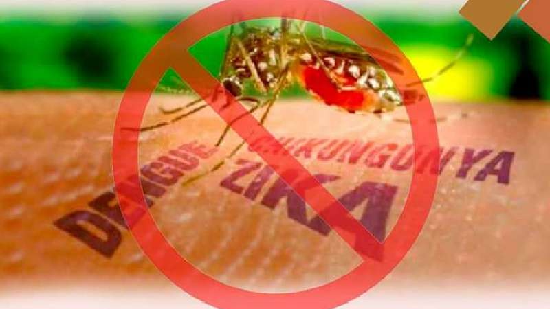 Jornada en contra del dengue,zika y chikunguya