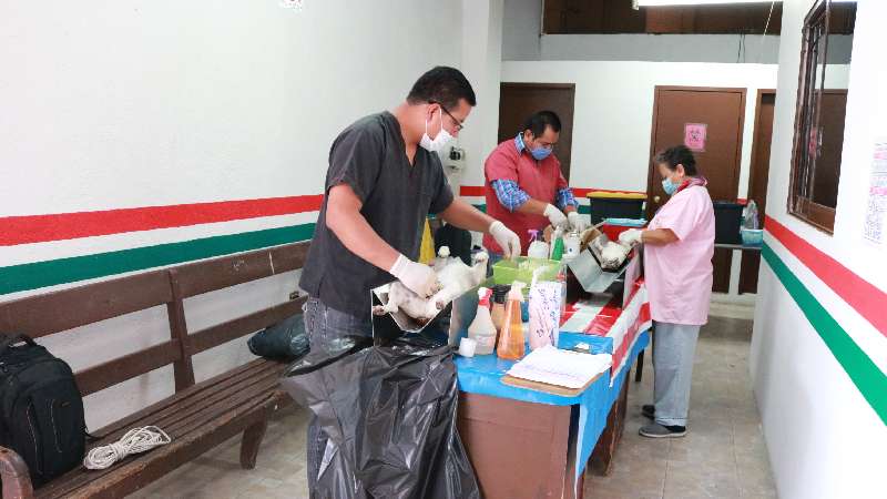 Realizan Esterilización de perros y gatos en Chiautempan