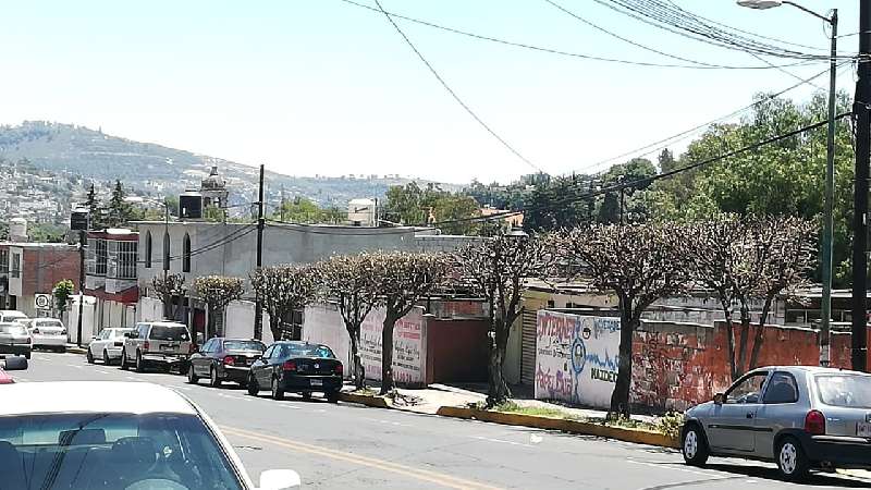 Realiza ayuntamiento de Tlaxcala poda de árboles