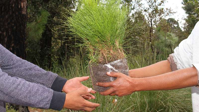 Emite CGE recomendaciones para el cuidado del medio ambiente