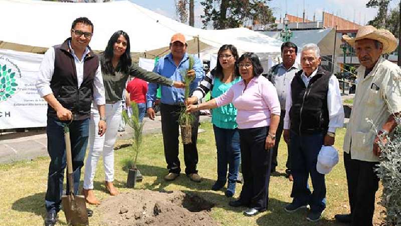 Reimpulsan reforestación en Chiautempan