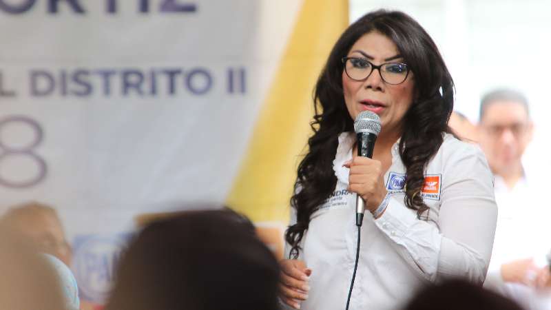 Mejorar la calidad de los hospitales: Alejandra Ramírez