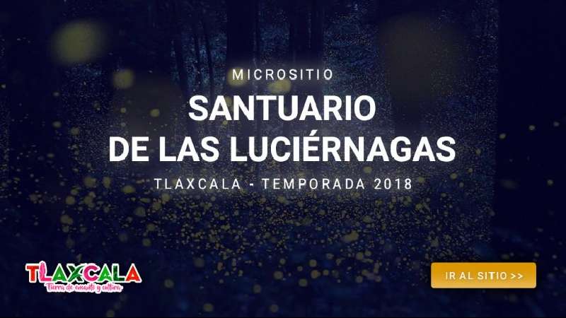 Presenta Secture micrositio santuario de las luciérnagas