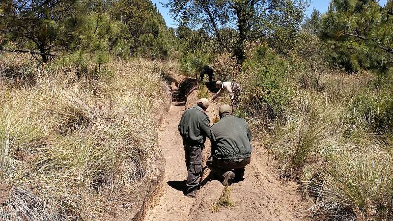 Registra 50% de avance rehabilitación de zanjas bordo