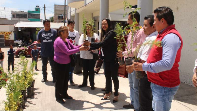 El Gobierno de Lardizábal realizará 2da. Campaña de Reforestación