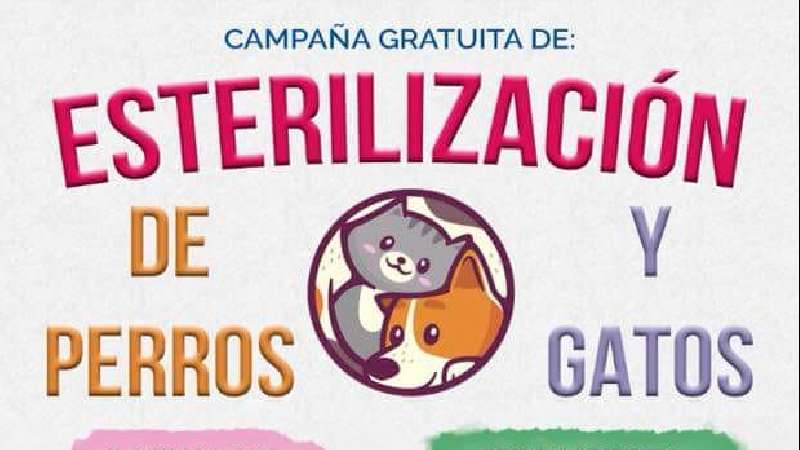 Esterilización de perros y gatos en Huamantla