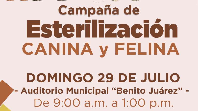 29 de julio campaña de esterilización en Xicohtzinco