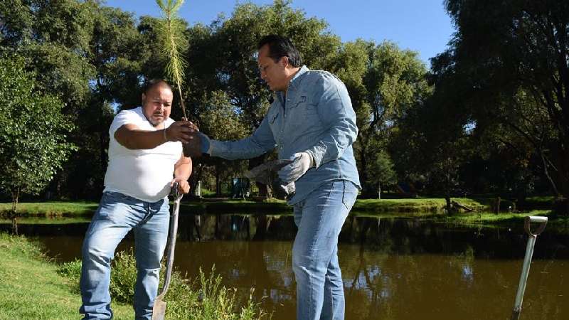 Siembran 800 árboles en el Lago del Niño de Xicohtzinco