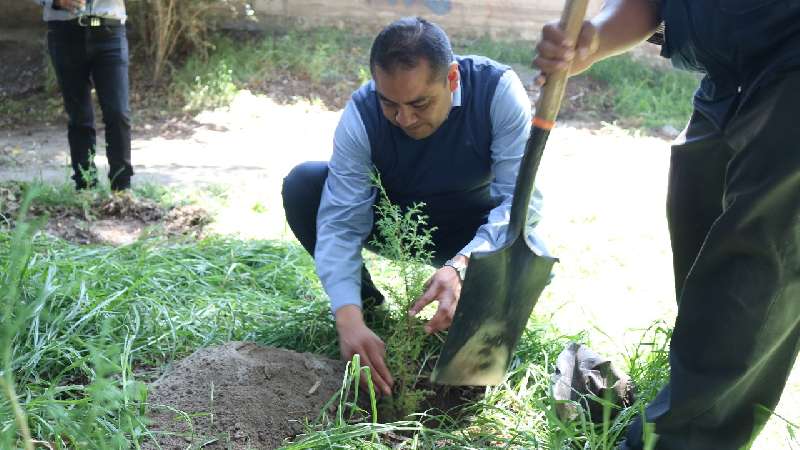 Chiautempan y vecinos reforestación en la ciénega de Tepetlapa