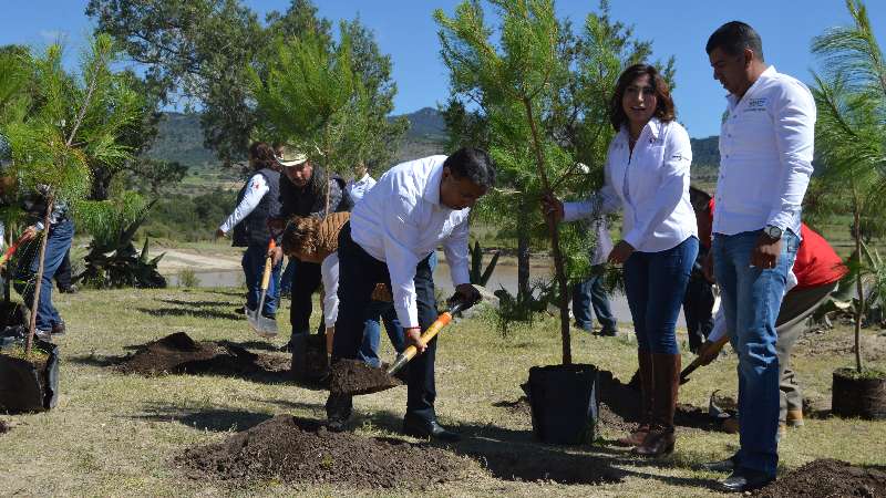 Siembran CGE y Conafor 25 mil árboles en Lázaro Cárdenas