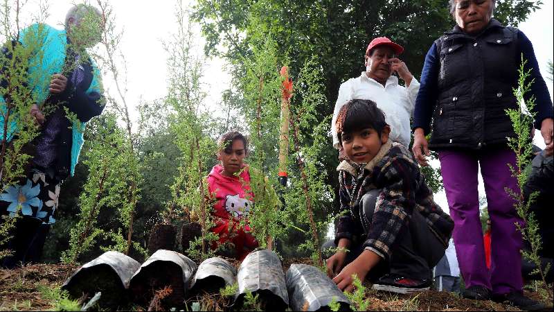 Pone en marcha CGE programa de reforestación 2018