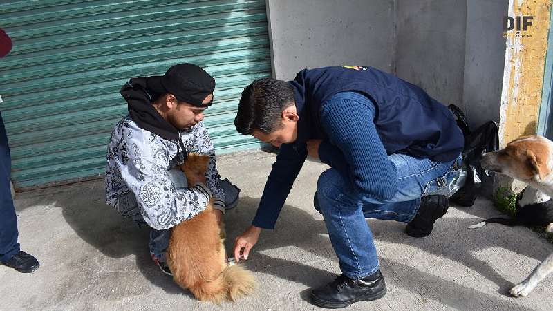 Módulo Canino de Zacatelco, aliado eficiente de la ciudadanía