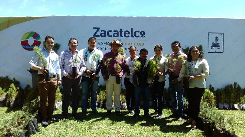 Reforestación y empleo temporal en Zacatelco