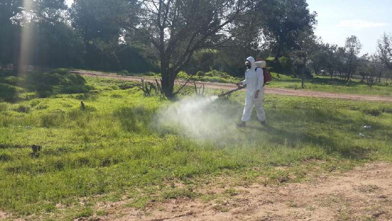 Fumigación en Tepetitla de Lardizábal