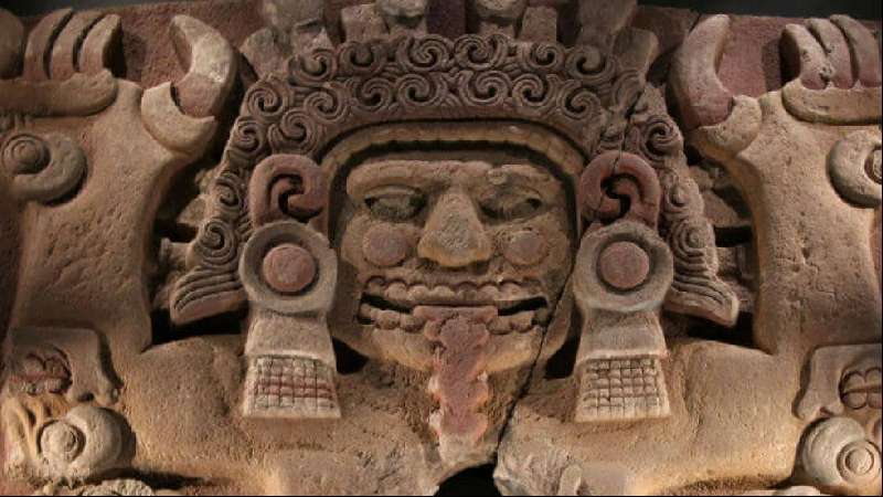 El sapo de Sonora ¿el nuevo psicodélico sagrado mesoamericano?