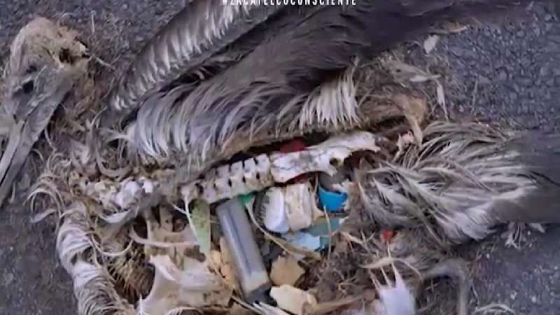Lanzan en Zacatelco campaña para reducir uso de plástico