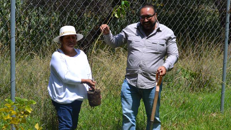 Autoridades de Xicohtzinco y Resirene plantan árboles frutales