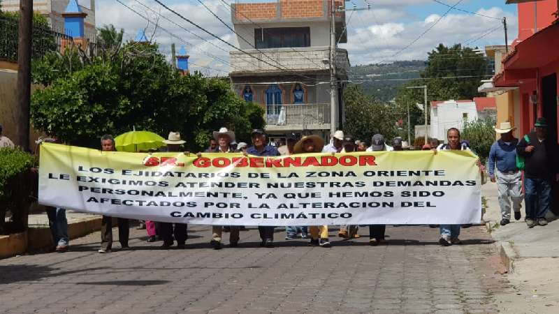 Exigen campesinos atención del gobierno por pérdidas 