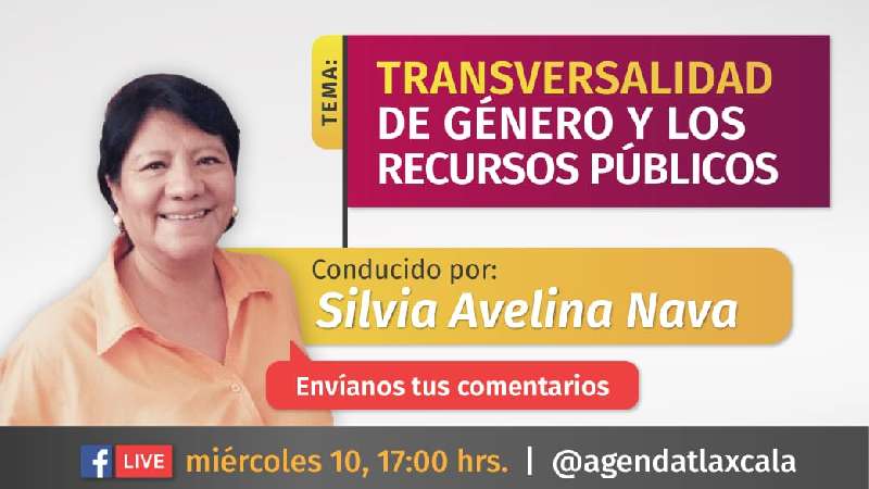 Transversalidad de género y los recursos públicos, Voces