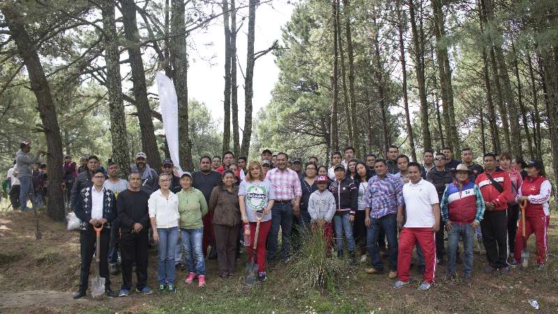 Lidera Héctor Domínguez Rugerio reforestación en Tlalcuapan