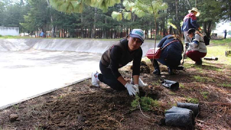 Se plantaron más de 600 árboles en Tocatlán