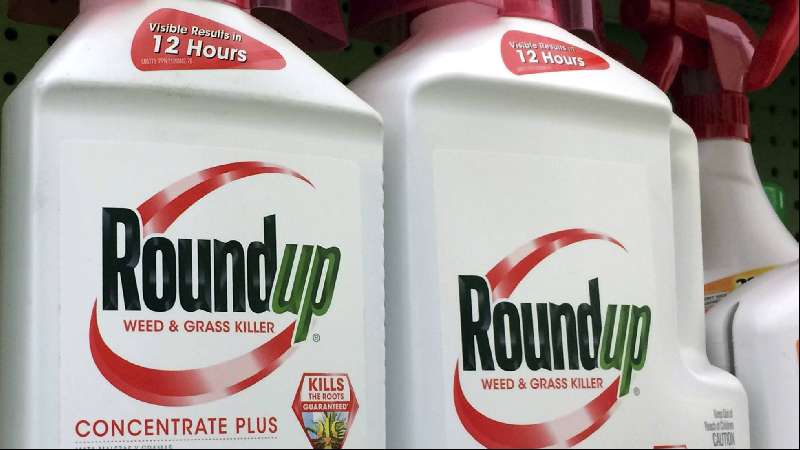 Polémica sanción de 289 millones contra Monsanto