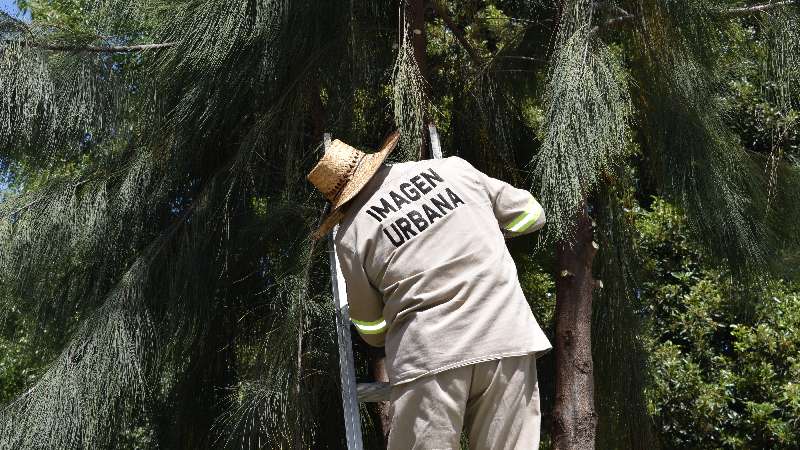 Refuerzan campaña de limpieza en Zacatelco