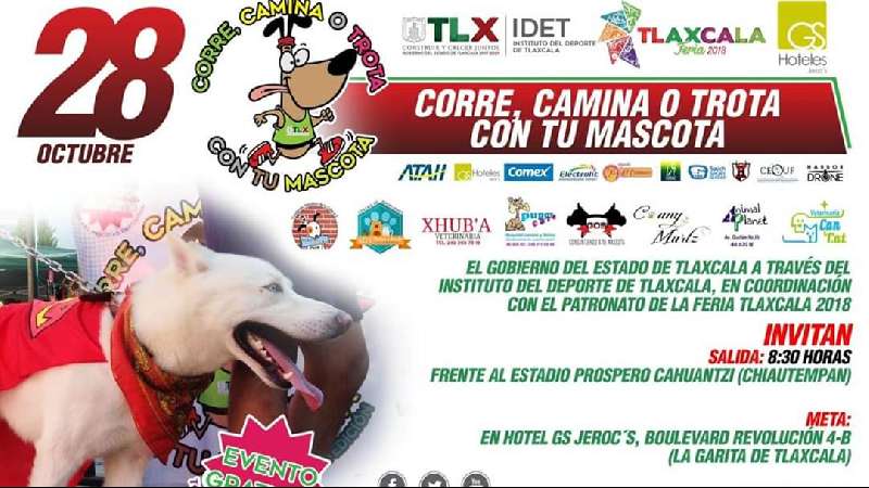 Corre, camina o trota con tu mascota