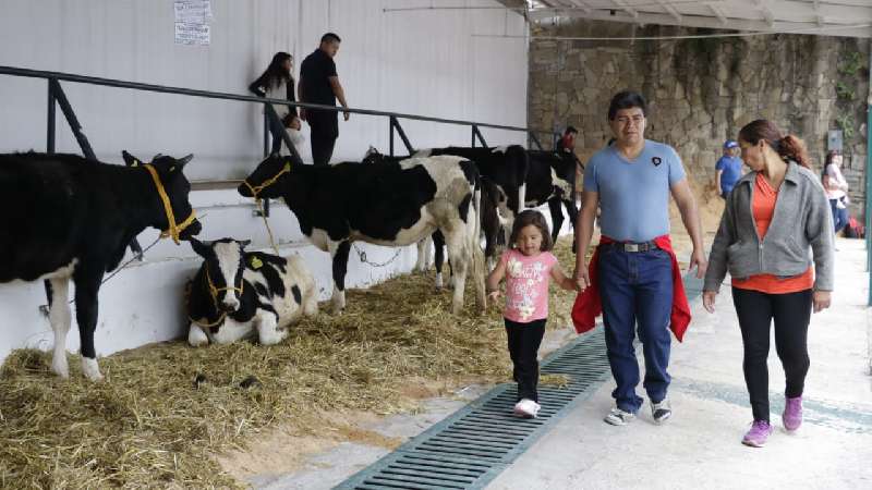 Visita la expo ganadera en 