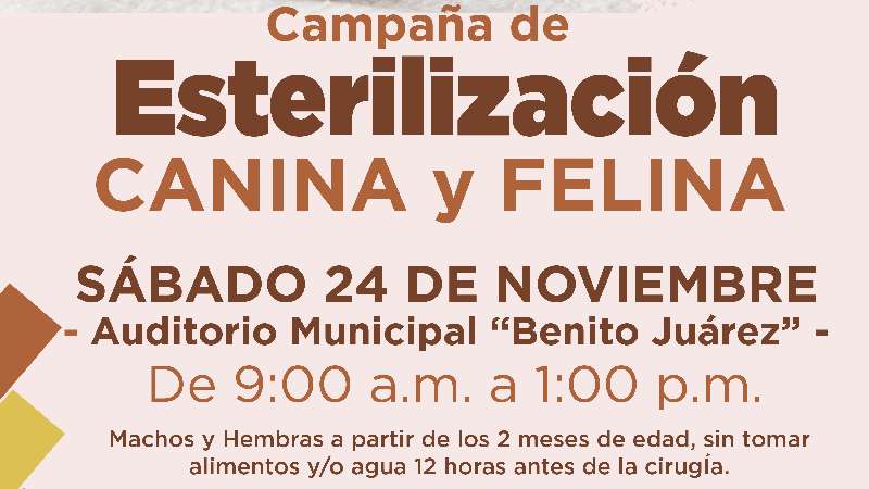 Esterilización canina y felina en Xicohtzinco