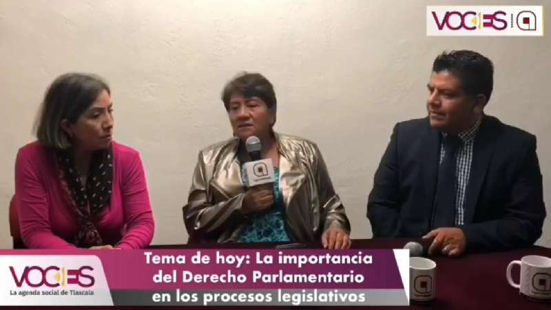 Voces, la importancia del Derecho Parlamentario