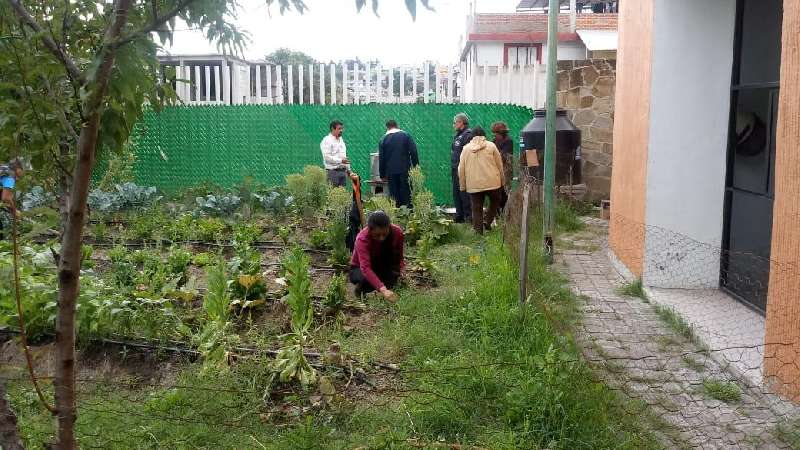 Imparten en IMM curso de agricultura urbana 