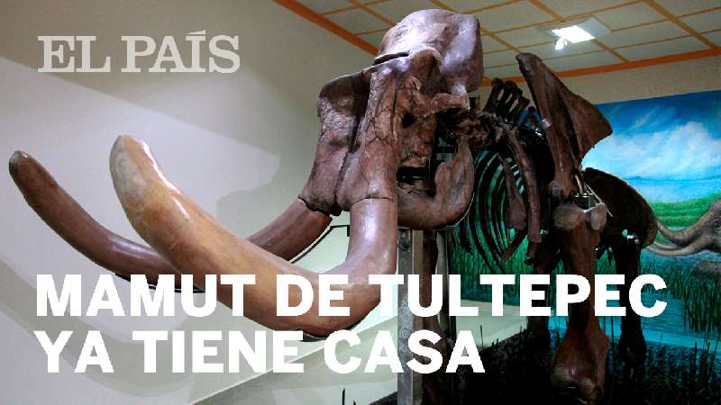 Con el mamut, la arqueología llegó a Tultepec