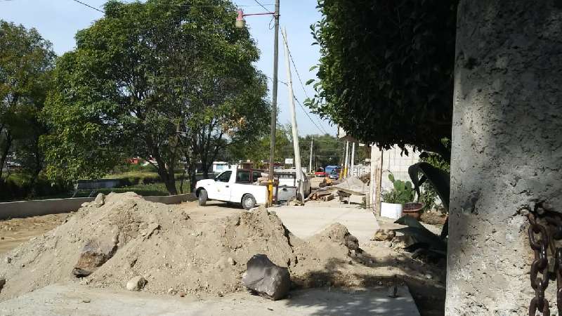 Por justificar 3.9 mdp edil de Huactzinco ordena derribar árboles