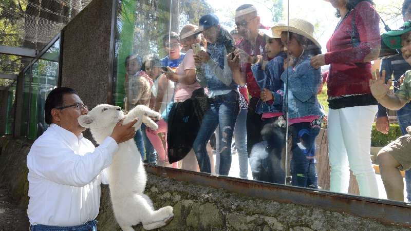 Acuden familias al Zoológico de Tlaxcala a conocer a la cachorra 