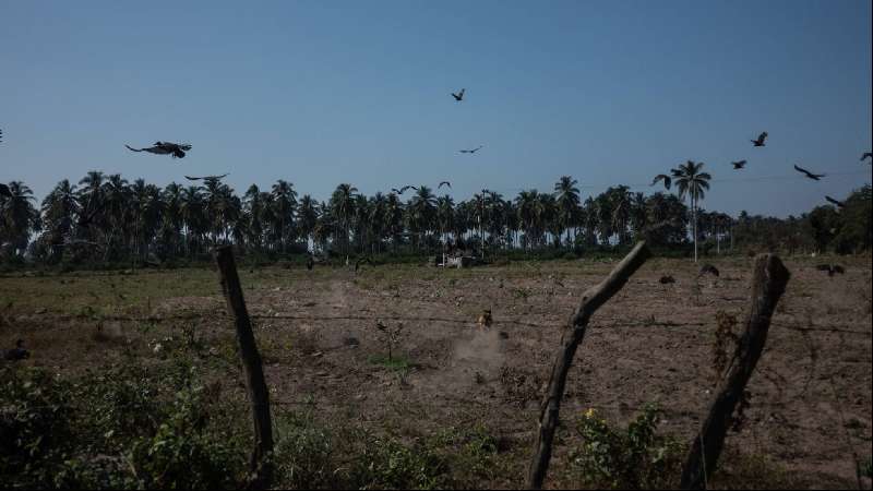 Tecomán: una tragedia soterrada