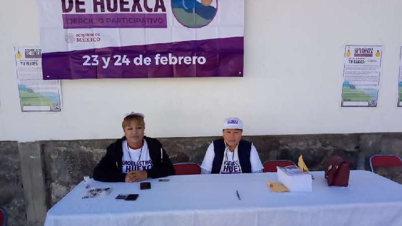 Dicen sí a termoeléctrica en Tlaxcala 86% de votantes
