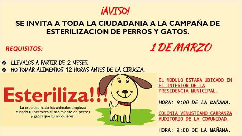 Campaña de esterilización en Tocatlán  