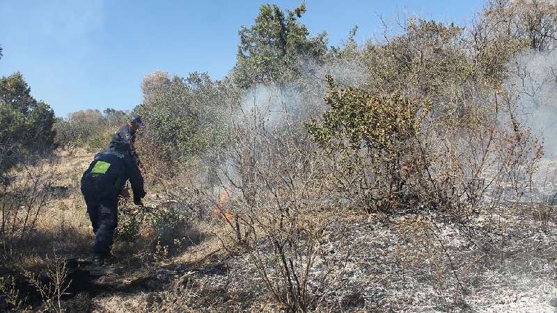 Quema de maleza se sale de control, habitantes lo controlan