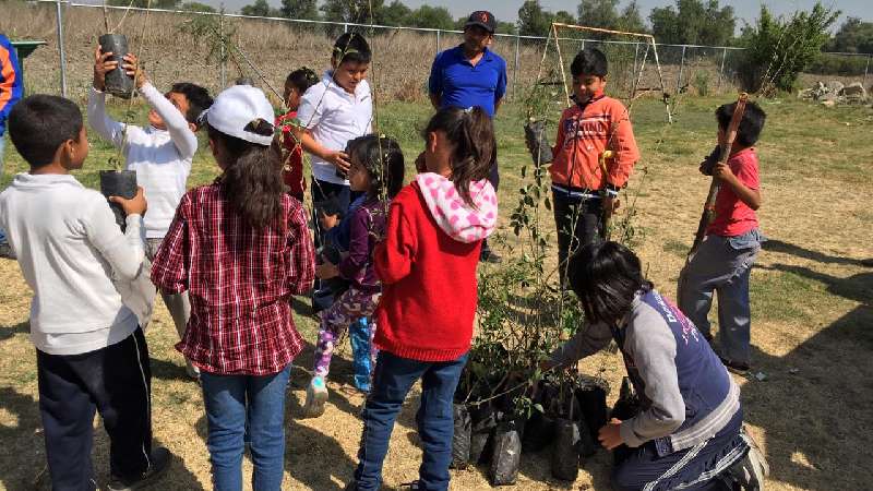 Plantan árboles en Xicohtzinco para combatir el cambio climático